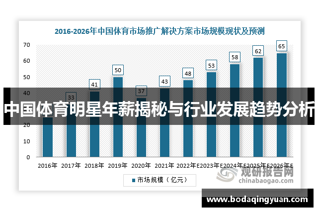 中国体育明星年薪揭秘与行业发展趋势分析